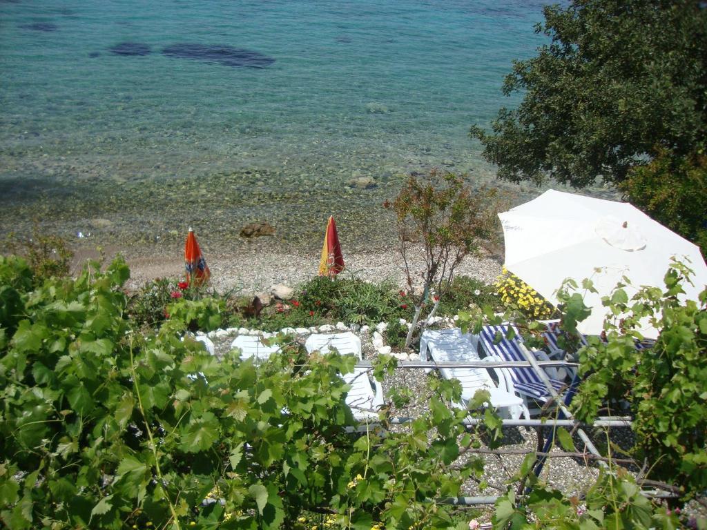 Hotel Mavi Akvaryum Pension Sogut  Exterior foto