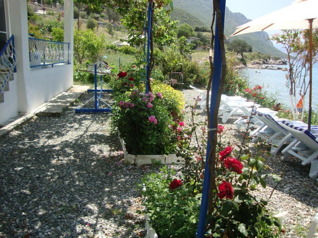 Hotel Mavi Akvaryum Pension Sogut  Exterior foto