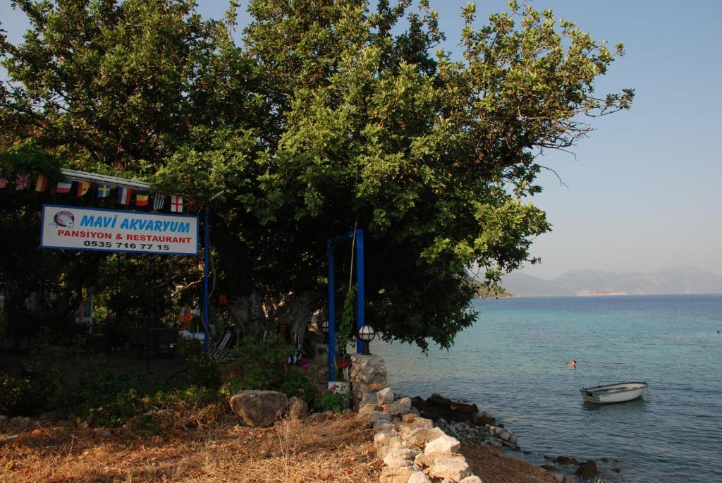 Hotel Mavi Akvaryum Pension Sogut  Exterior foto