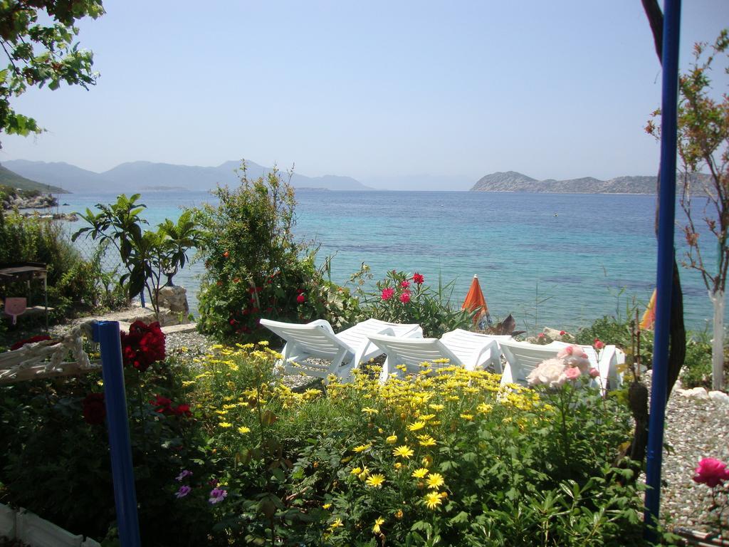 Hotel Mavi Akvaryum Pension Sogut  Exterior foto